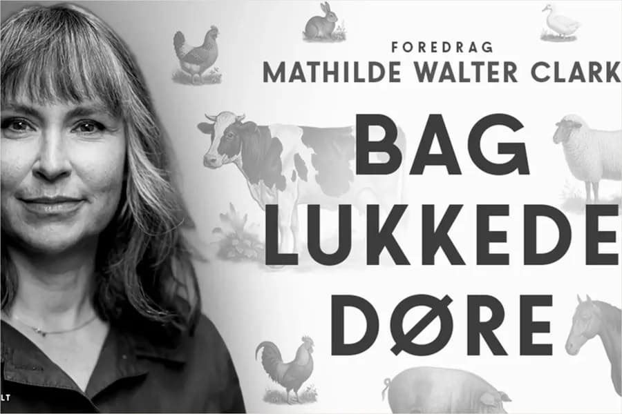 Mathilde Walter Clark - Bag lukkede døre