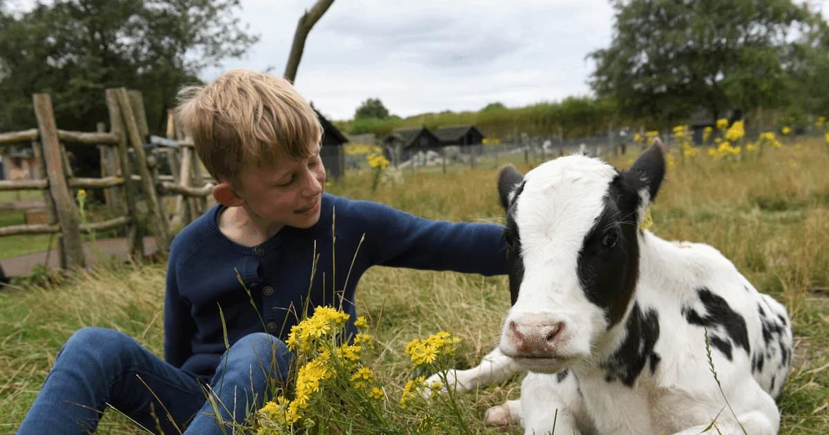 Oplev bondegårdens dyr i Farmparken