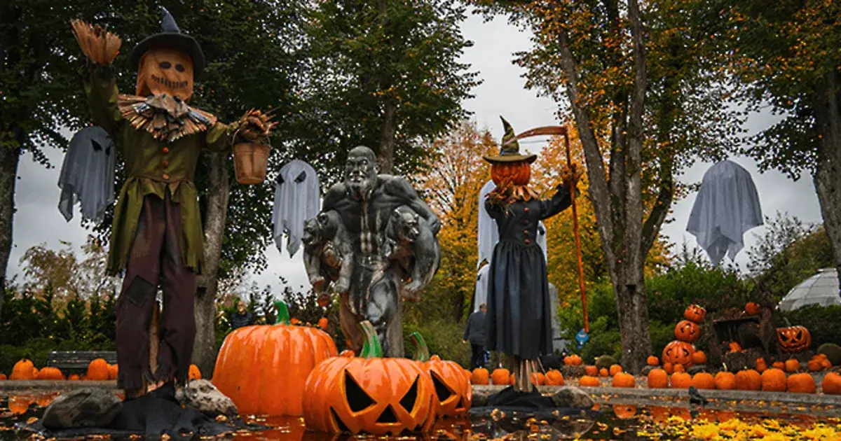 Spooky Cozy Halloween at Aalborg Zoo