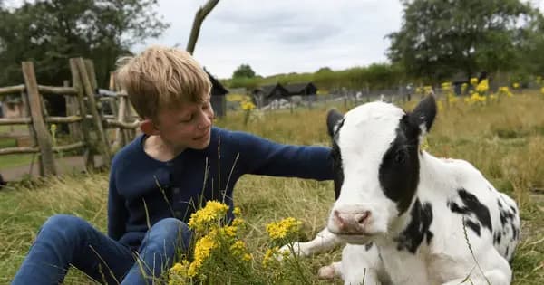 Experience the Farm Animals at Farmparken