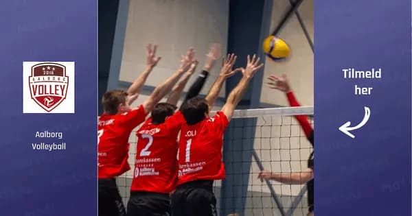 Mixvolley – Beginners