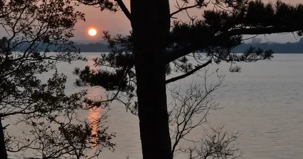 Free Nature Walk at Signalbakkerne (Hvilehøj and Signalhøj)