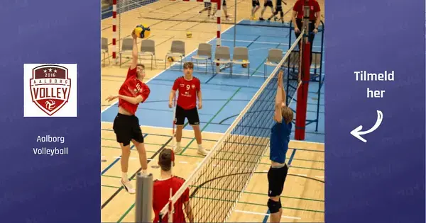 Boys Volleyball U15/U17