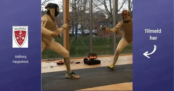 Learn to Fence in One Hour