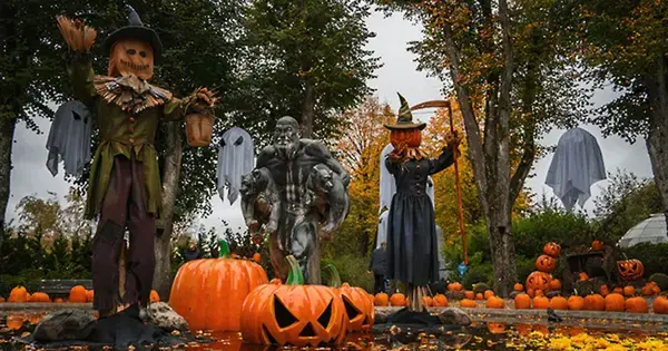 Spooky Cozy Halloween at Aalborg Zoo