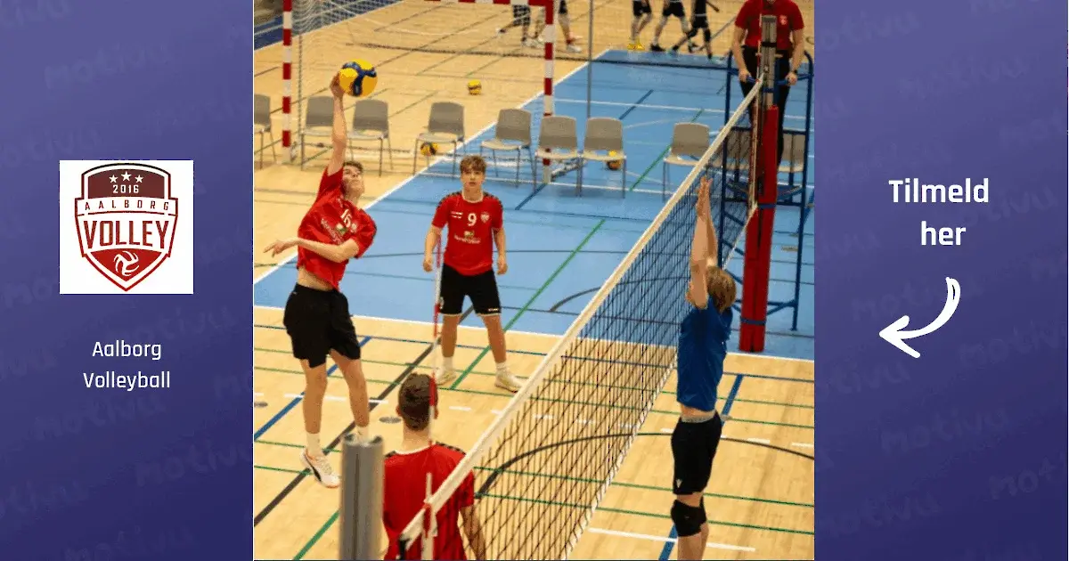 Boys Volleyball U15/U17