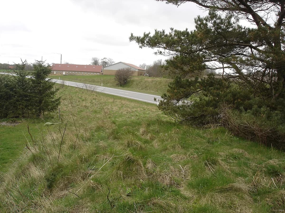 Grassy railway embankment beside a road with trees and farm buildings in rural Denmark.