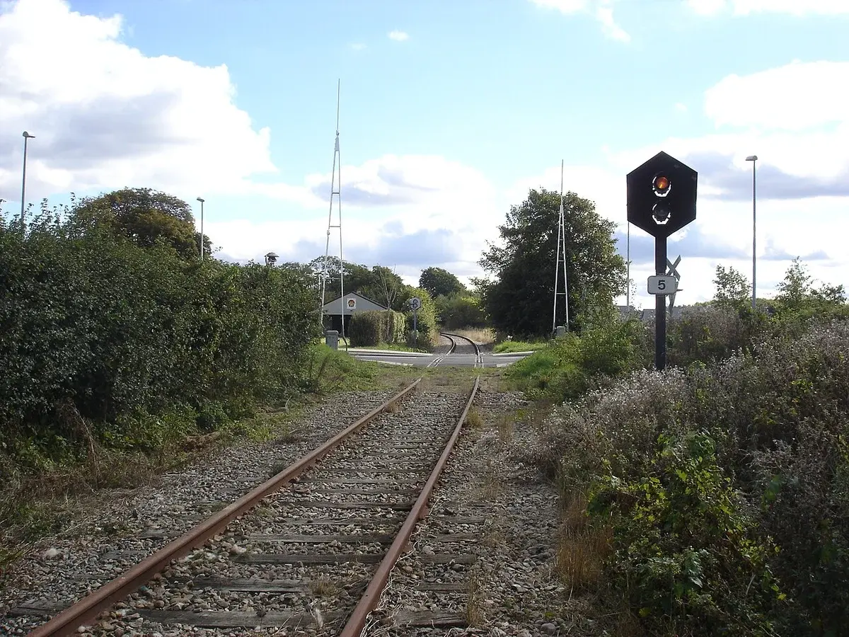A railway track crossing a road in a green rural area with a signal light.