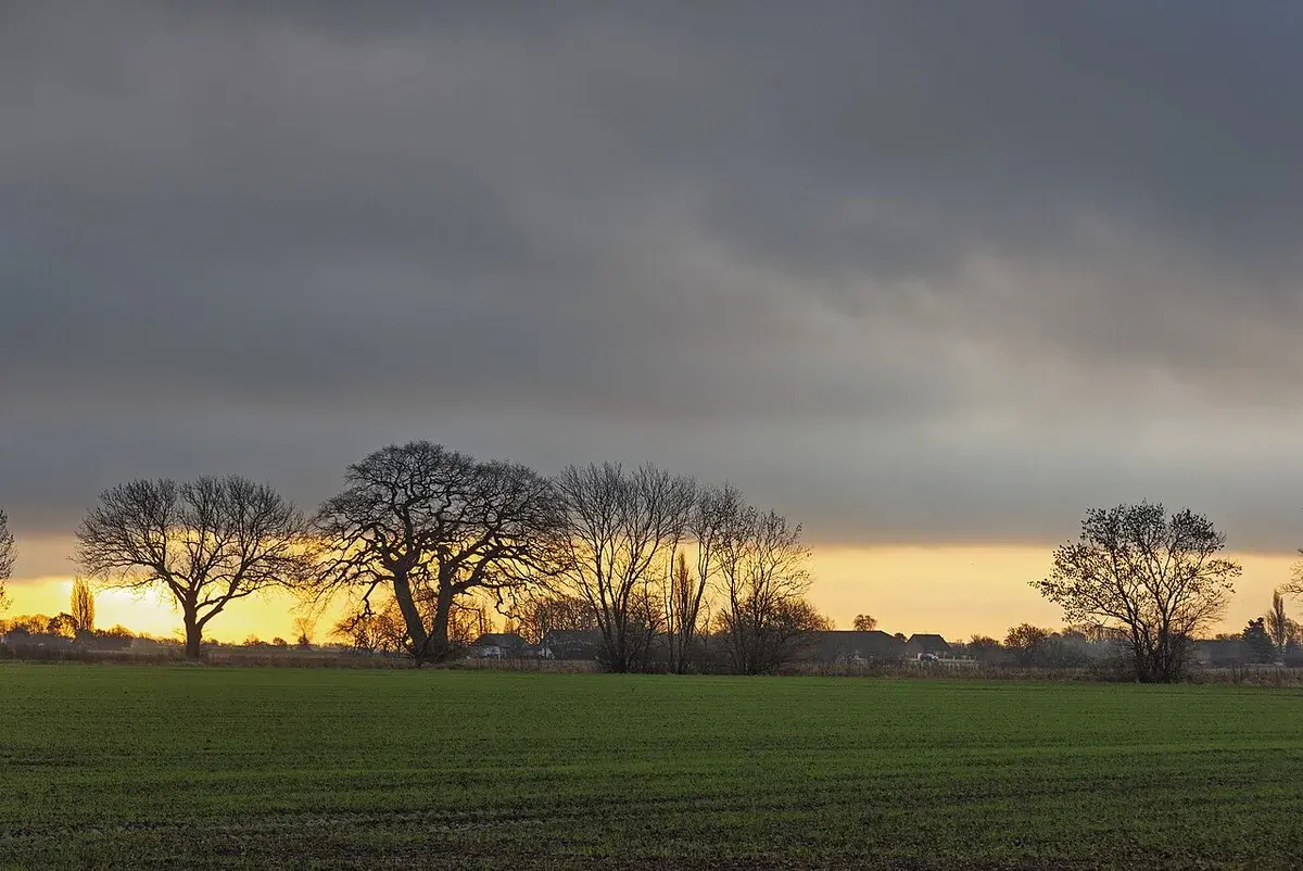 A rural field with bare trees under a cloudy sky at sunset.